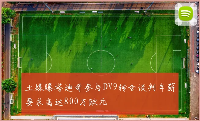土媒曝塔迪奇参与DV9转会谈判年薪要求高达800万欧元